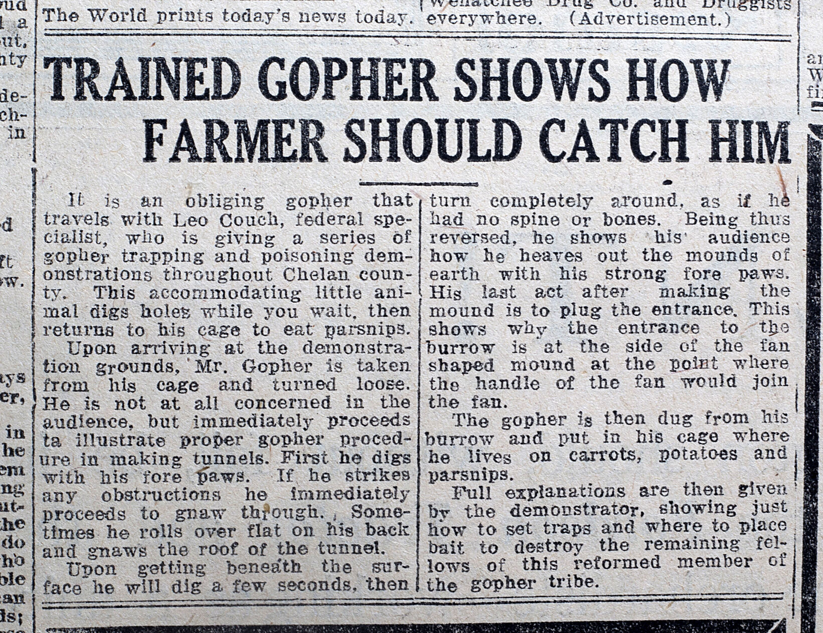 210410-newslocal-theatergopher 02.jpg